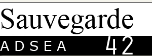 sauvegarde42